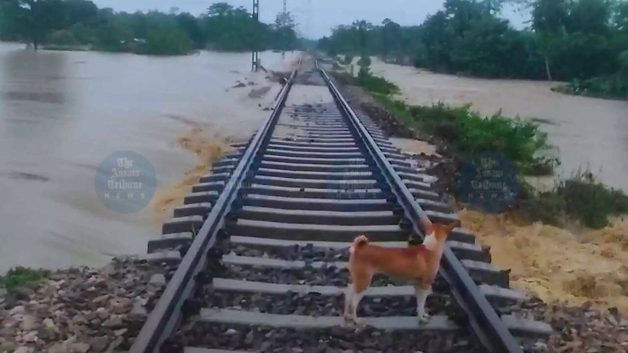 Assam Floods Bring Railway Services to a Grinding Halt: Restoration Efforts in Full Swing