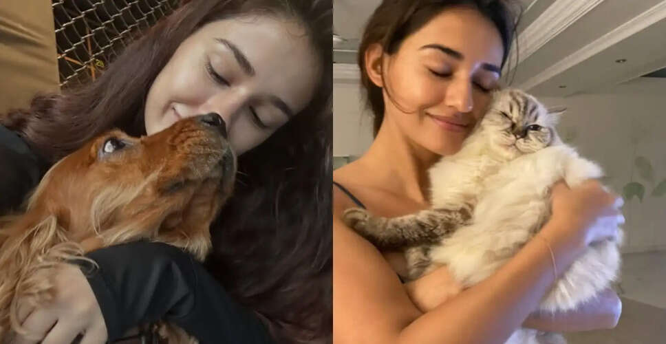 Disha Patani Shares Heartfelt Tributes for Her Beloved Pets