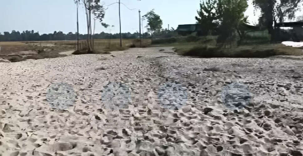 Severe Sand Deposits Devastate Agriculture in Lakhimpur District