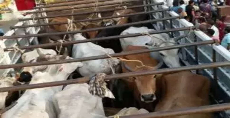 Shocking Incident in Odisha: Dalit Men Humiliated Over Cattle Smuggling Allegations