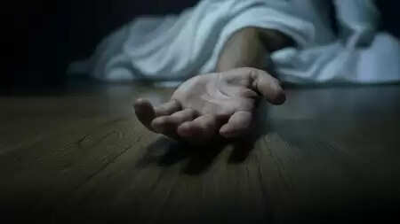 Four killed in road accident in Bihar's East Champaran