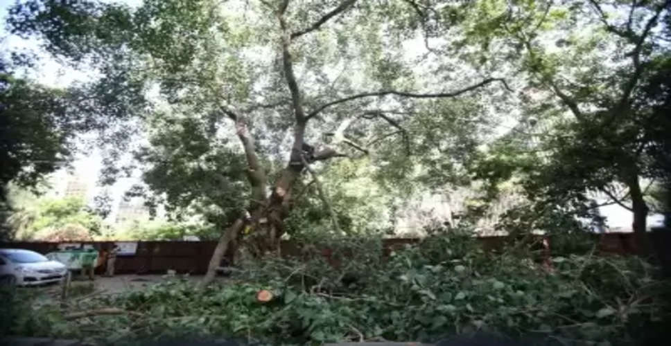 Why should DDA VC not be prosecuted for criminal contempt of court, asks SC over tree felling in Delhi's Ridge area