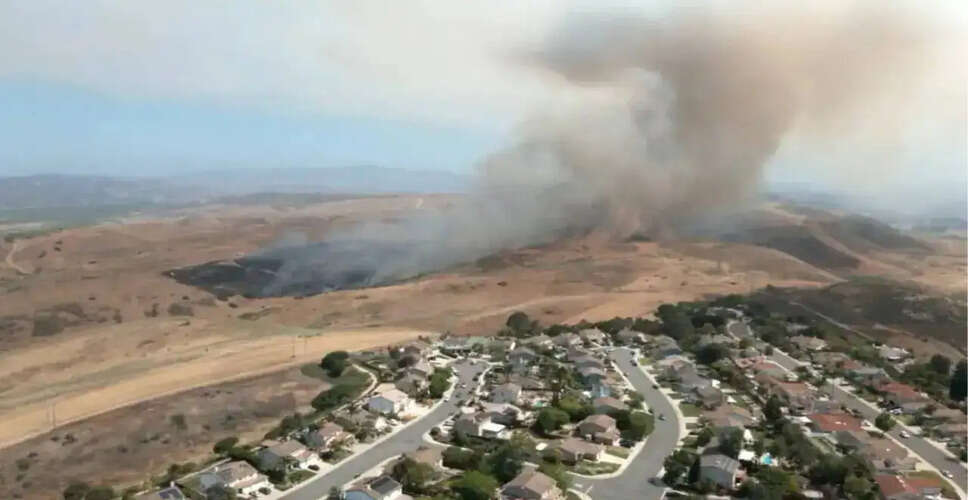 Rapid Brush Fire Erupts Near Palmdale, Prompting Emergency Response