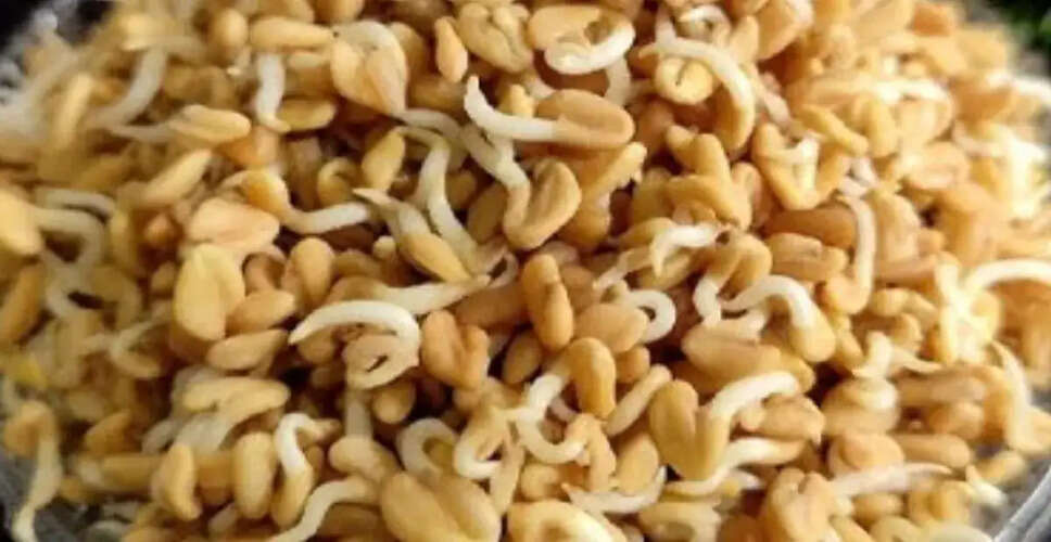 Health Benefits of Sprouted Fenugreek: A Nutritional Powerhouse