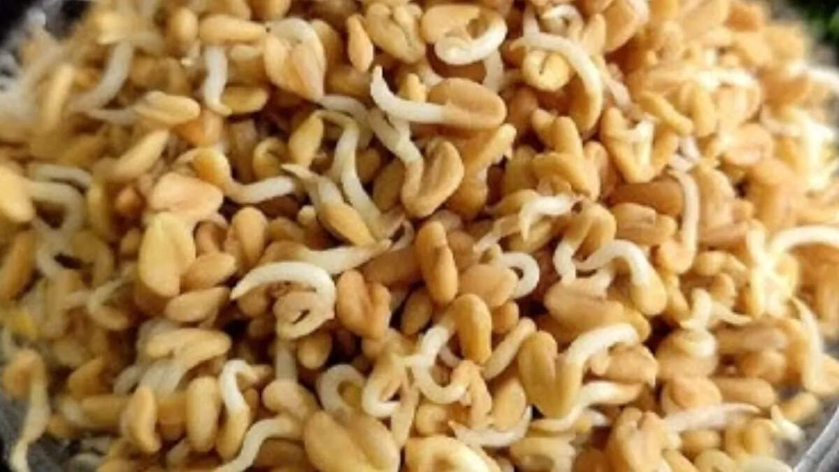 Health Benefits of Sprouted Fenugreek: A Nutritional Powerhouse