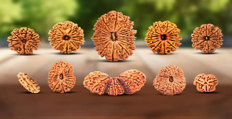 The Spiritual Significance and Benefits of Rudraksha in Hinduism