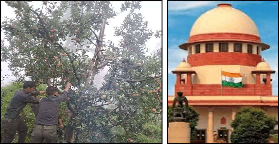 Supreme Court Petition Filed Against Apple Tree Removal in Himachal Pradesh