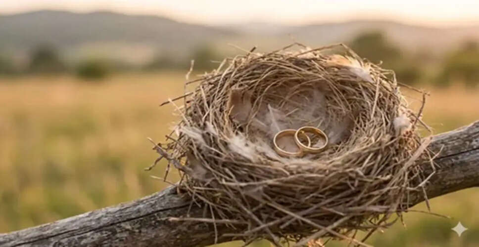 Understanding Empty Nest Divorce: Causes and Solutions