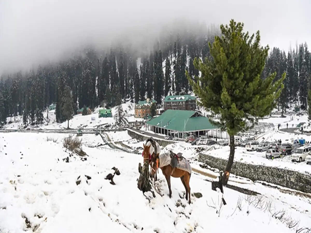 Discover India's Hidden Natural Wonders: 7 Breathtaking Destinations