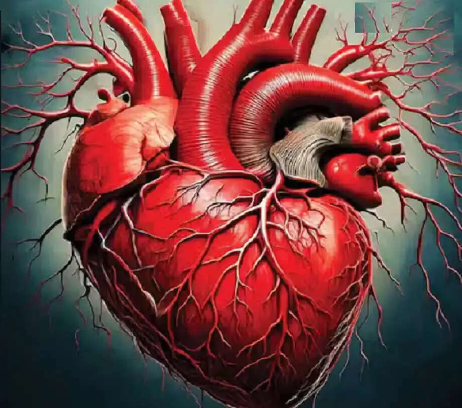 Understanding Heart Blockage: Symptoms and Detection