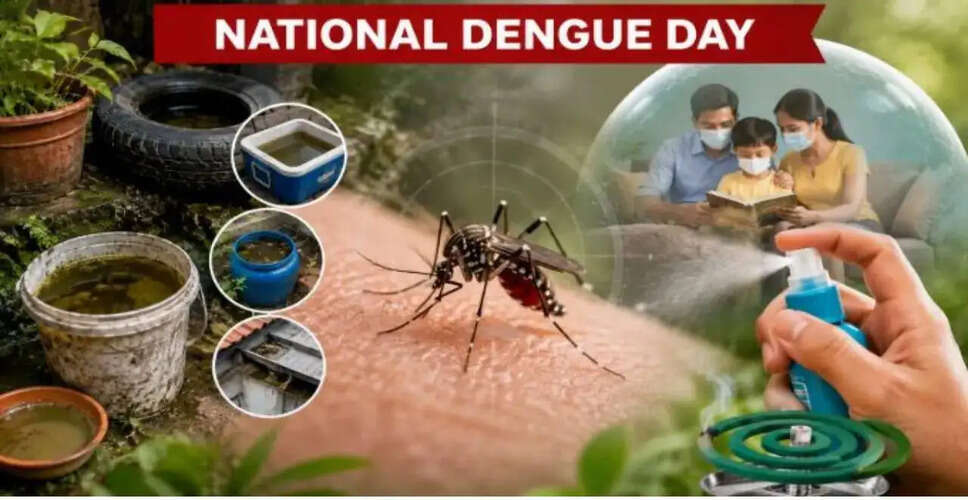 Comprehensive Strategies Needed for Dengue Prevention on National Dengue Day