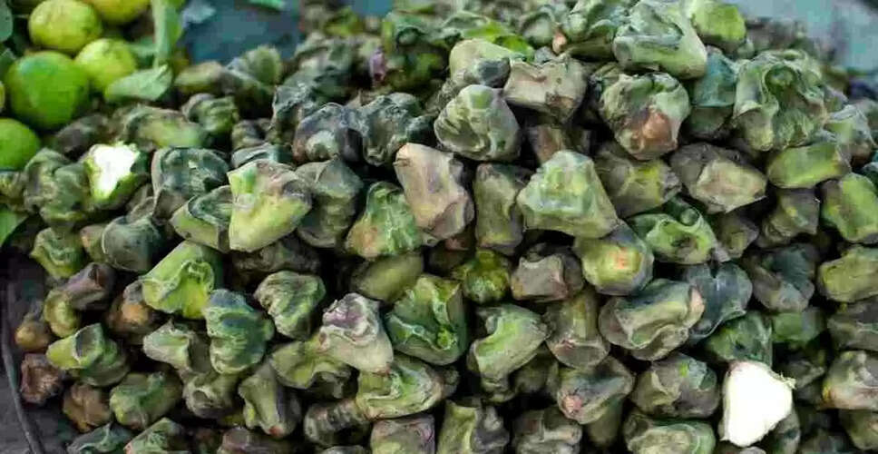 The Incredible Benefits of Water Caltrop (Singhada)