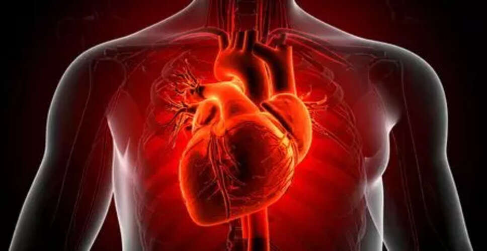 Groundbreaking Discovery: Human Heart Can Regenerate Muscle Cells Post-Heart Attack