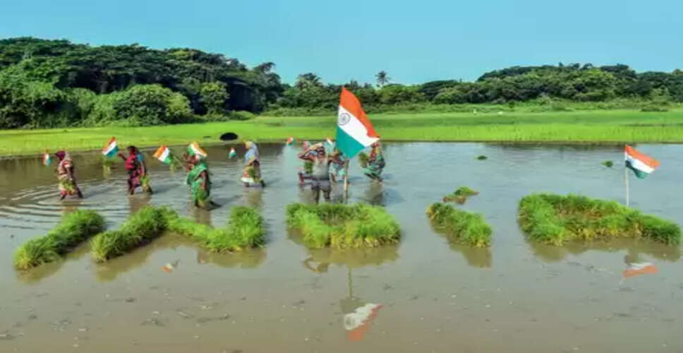 Over 25 crore Soil Health Cards distributed to farmers, Rs 1,706 crore released for scheme