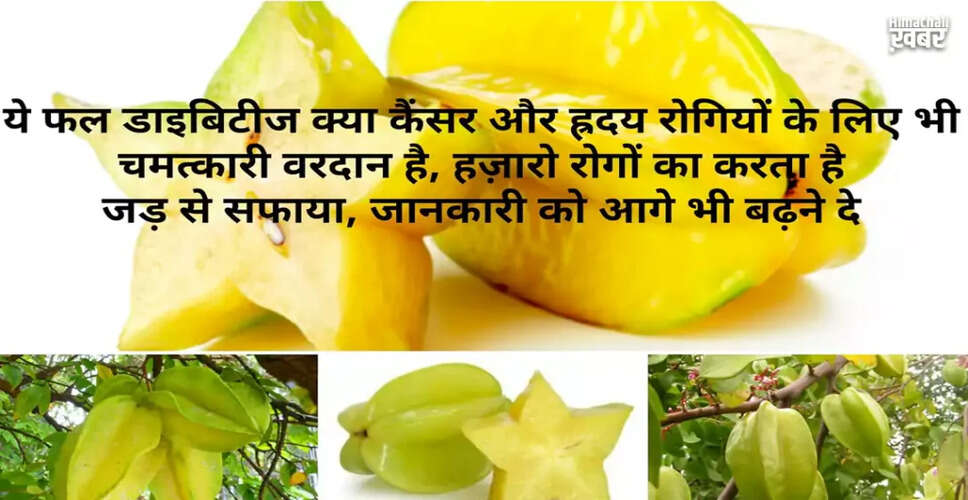 The Incredible Health Benefits of Kamrakh Fruit