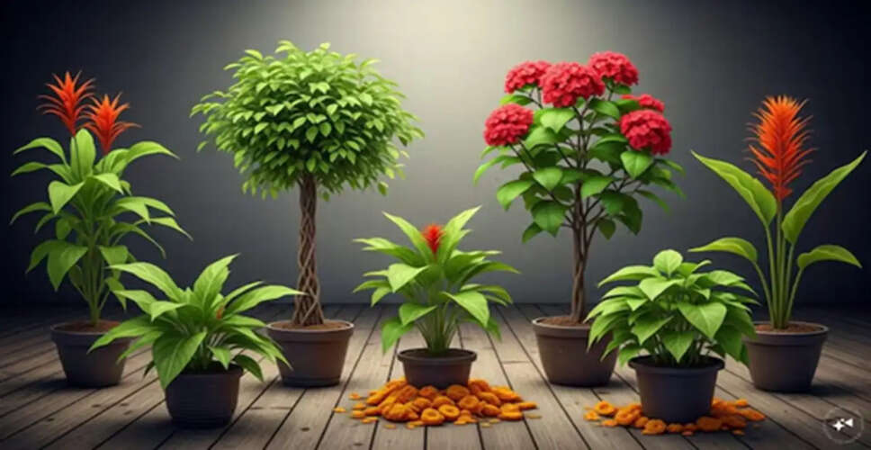 Plants to Avoid Planting at Home: A Guide to Divine Trees