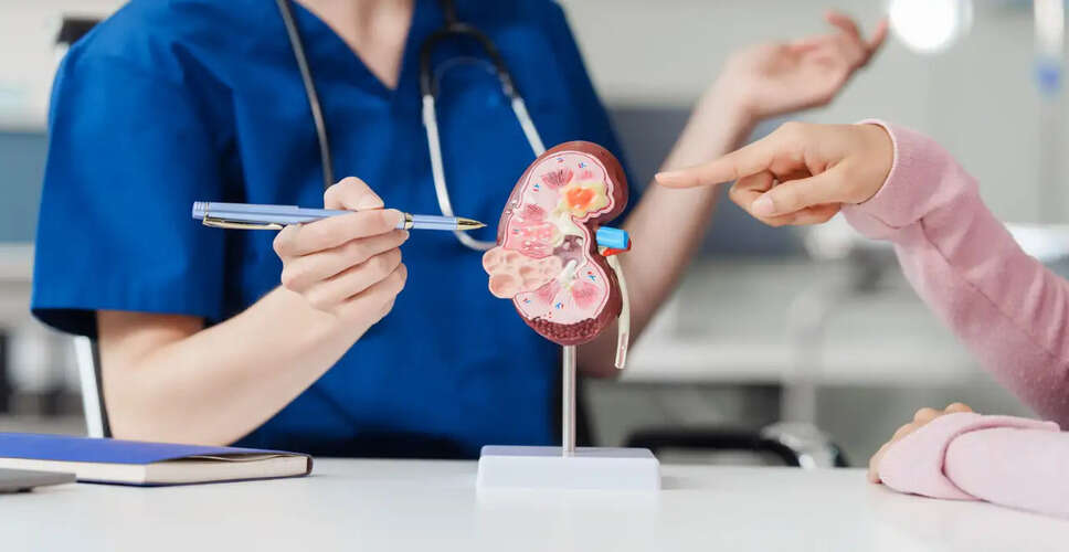 Understanding Chronic Kidney Disease: Can It Be Reversed?