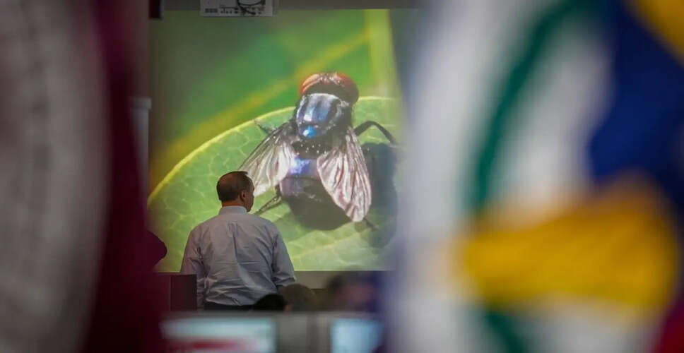 Concerns Rise Over New World Screwworm Cases in Texas