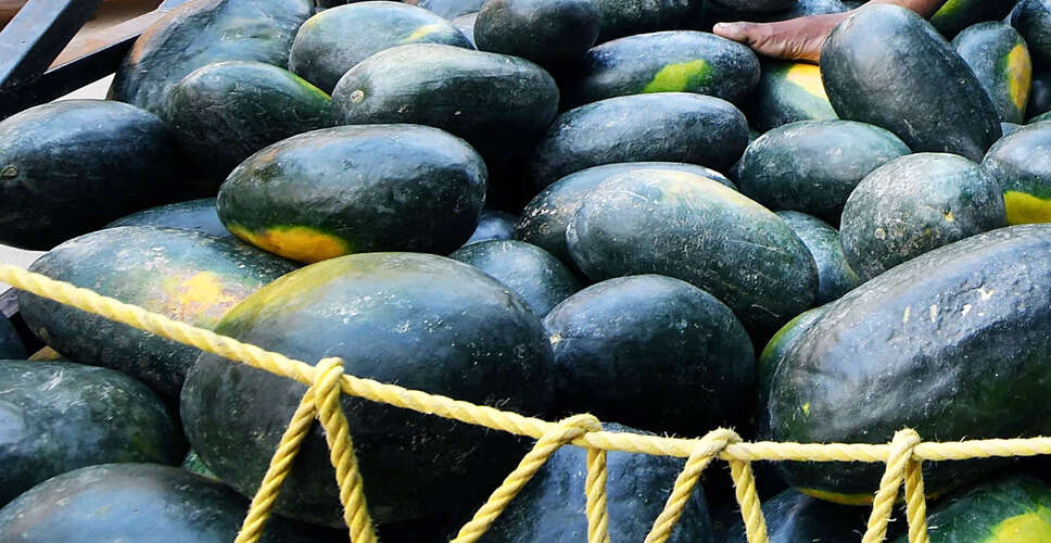 Kerala Police Seize Large Cache of Illegal Explosives in Palakkad