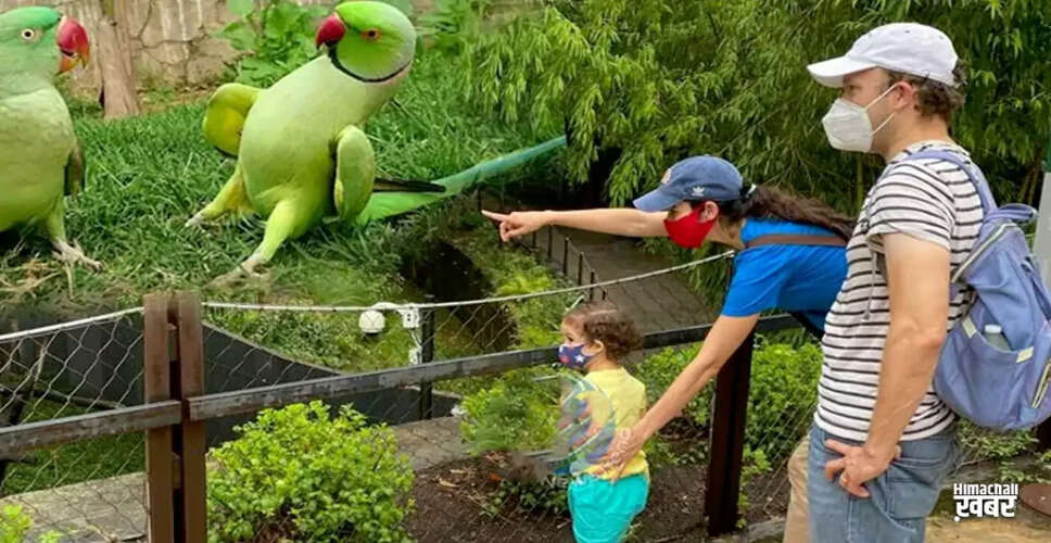 Parrots Removed from UK Zoo for Swearing at Visitors