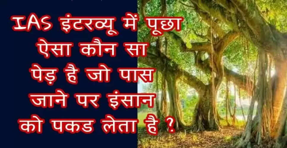 Intriguing IAS Interview Questions That Challenge the Mind