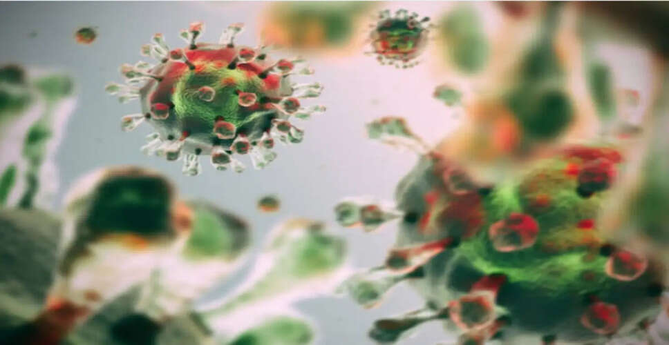 Understanding the Ebola Virus: Symptoms and Precautionary Measures