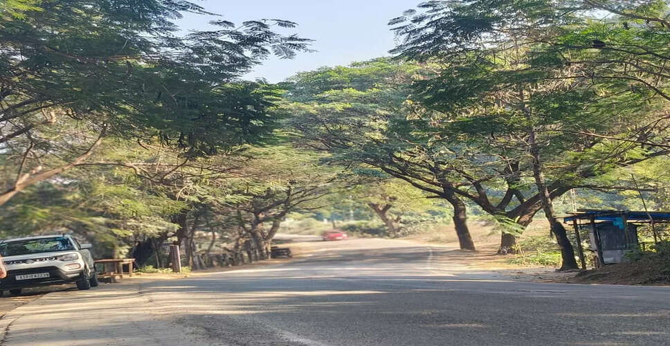 Environmental Concerns Rise Over Tree Felling for Railway Flyover at Deepor Beel