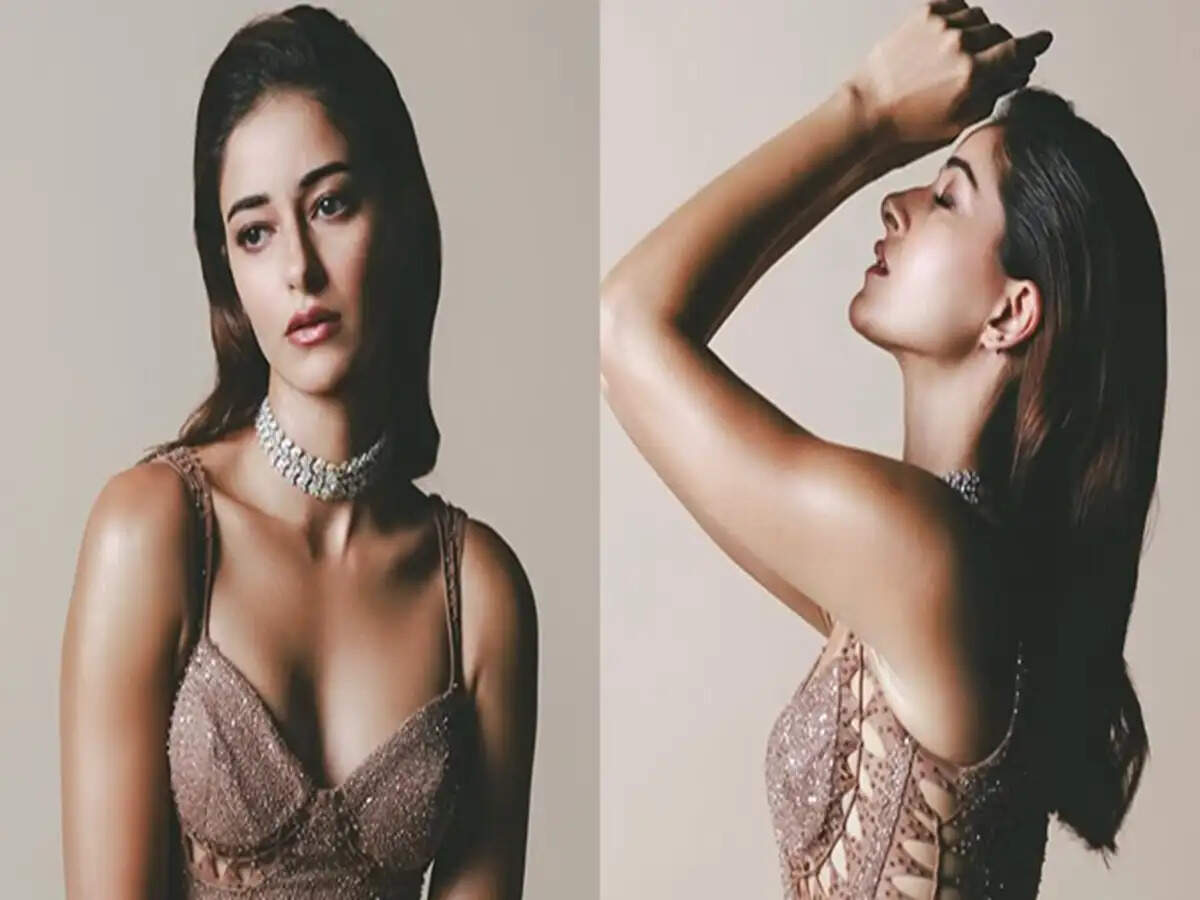 Ananya Panday's Vacation Snap with Aarav Bhatia Sparks Buzz