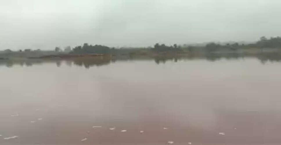 Three siblings drown while bathing in pond in MP village