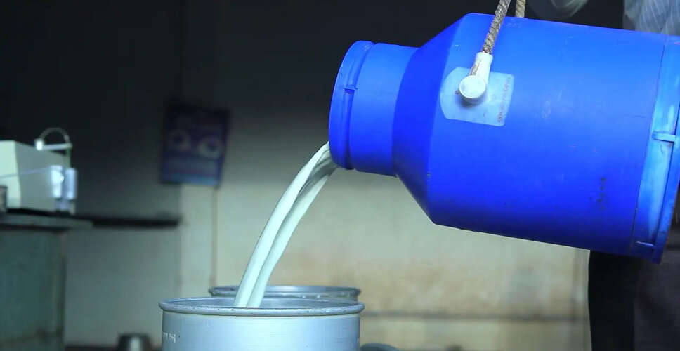 Severe Health Crisis in Andhra Pradesh Linked to Milk Contamination