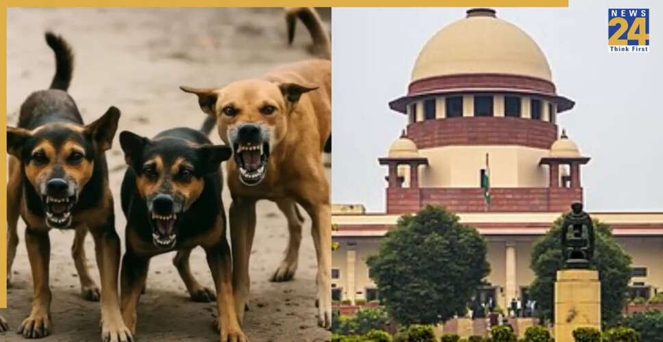 Supreme Court to Rule on Controversial Stray Dog Order Today