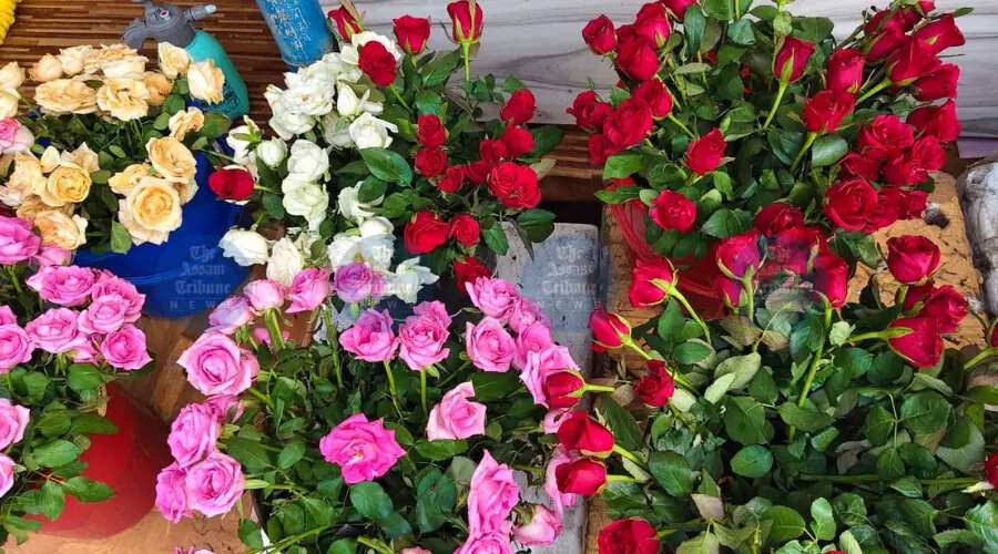 Assam's Floriculture Potential: A Blossoming Opportunity or a Withering Dream?