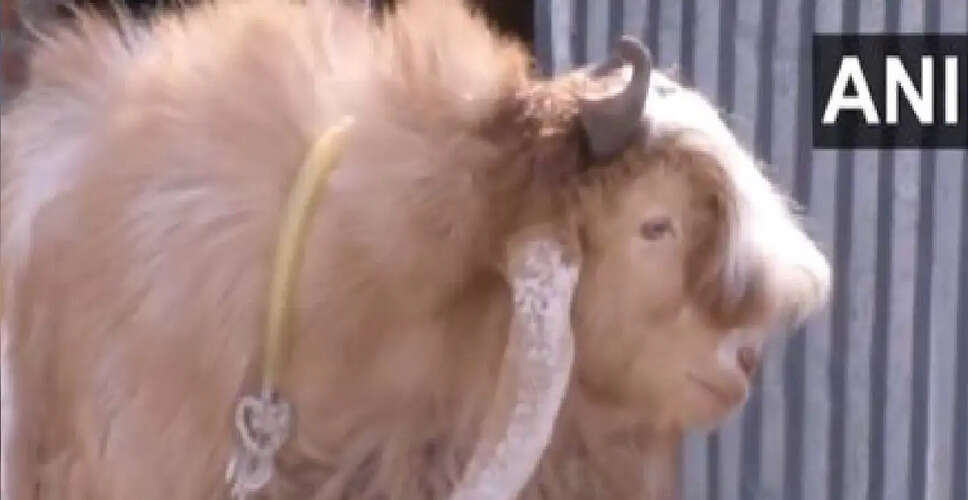 Tensions Rise in Thane Over Goat Sacrifice Dispute Ahead of Bakrid