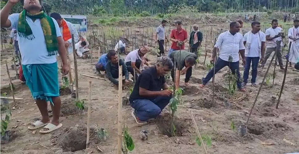 Massive Plantation Initiative Launched in Uriamghat