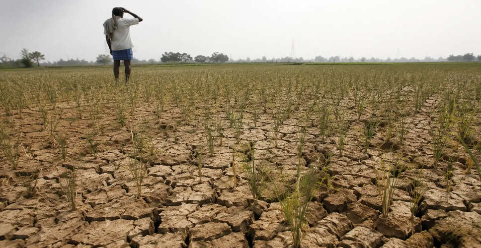 RBI Highlights Risks of El Ni&ntilde;o and Geopolitical Tensions in Annual Report