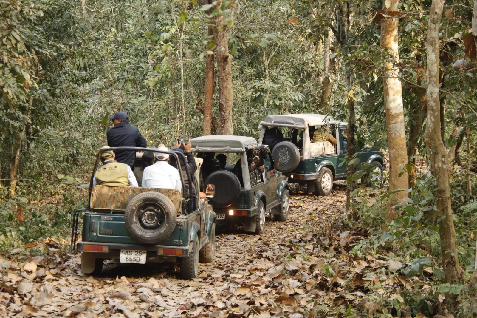 Record Foreign Tourist Arrivals at Kaziranga National Park in 2025-26