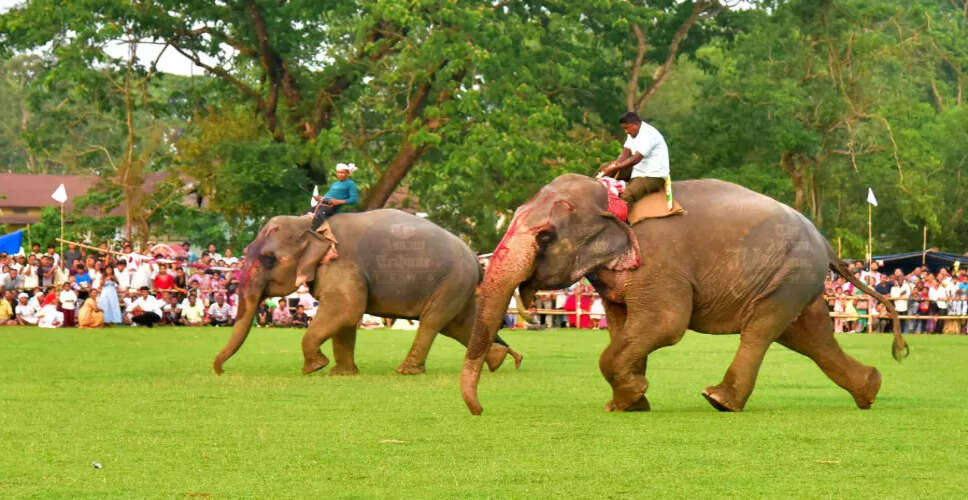 Celebration of Assam's Cultural Heritage at the 114th Suwari Festival in Boko