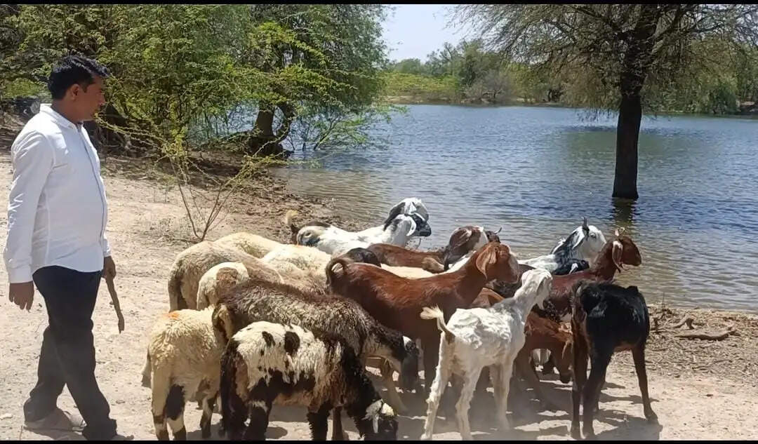 Inspiring Journey of Rajuram Meena: From Rural Roots to RAS Success