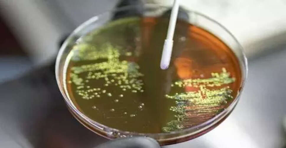 Study Reveals Risks of Antibiotic Use During Pregnancy Linked to Neonatal GBS Disease