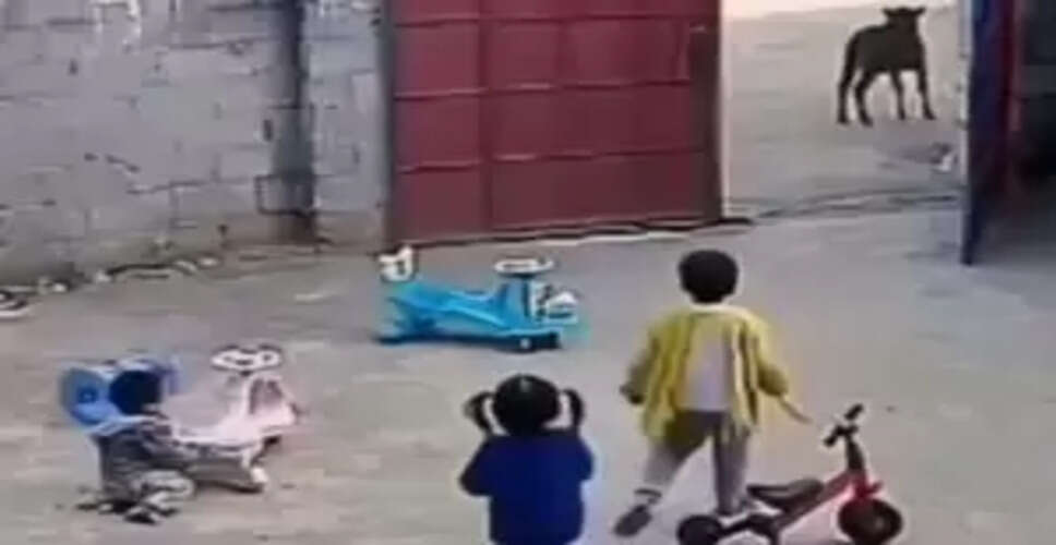 Watch the Heartwarming Moment: Siblings Turn Playtime into a Heroic Rescue!