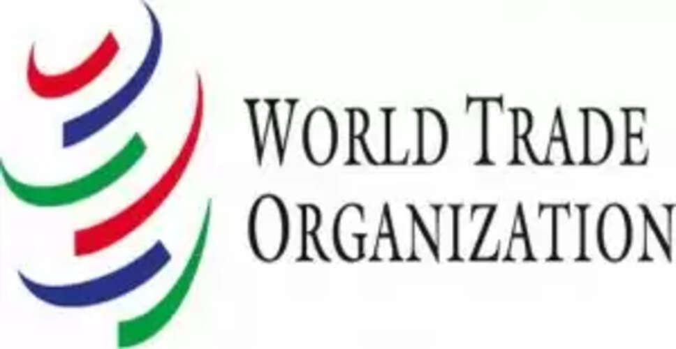 China Takes Action Against India at WTO Over Tariffs and Subsidies