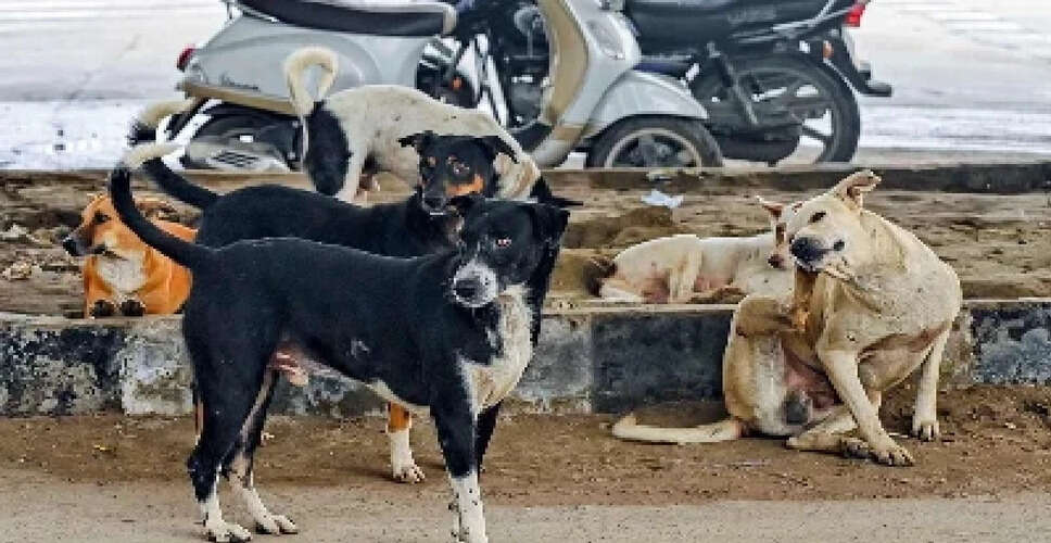 Supreme Court to Hear Case on Stray Dog Management by MCD on January 7