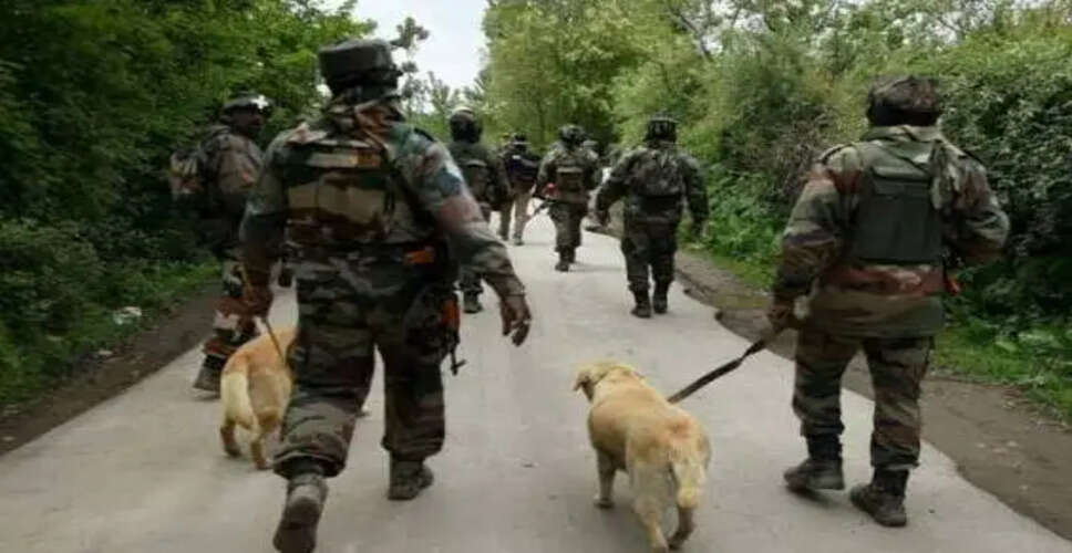 Security Forces Intensify Search Operations in Jammu Amid Terror Suspicions