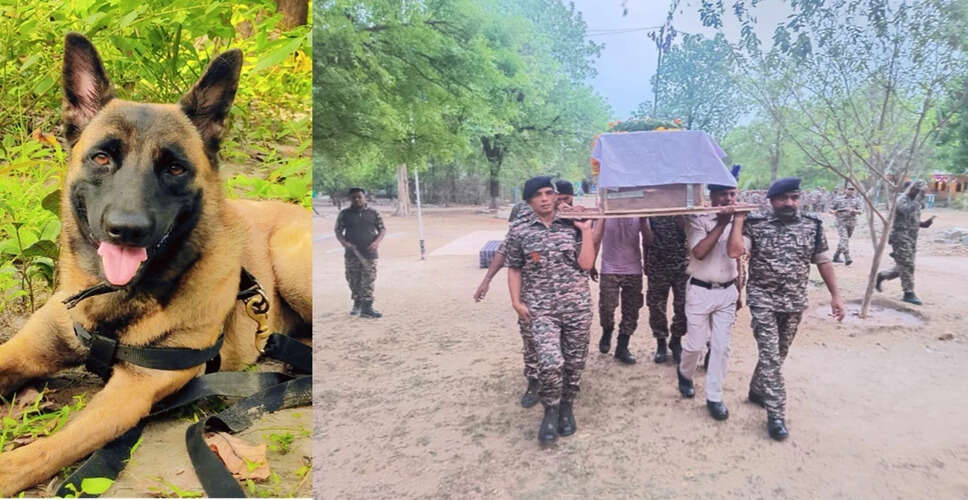 Tribute to K9 Rolo: CRPF Honors Fallen Canine Hero in Sukma