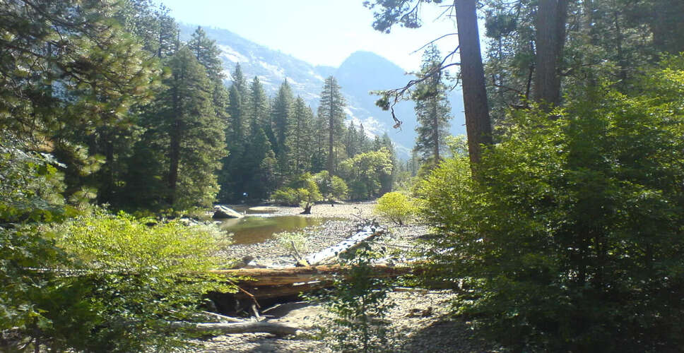 UN Report Highlights Slow Progress on Global Forest Goals Ahead of 2030