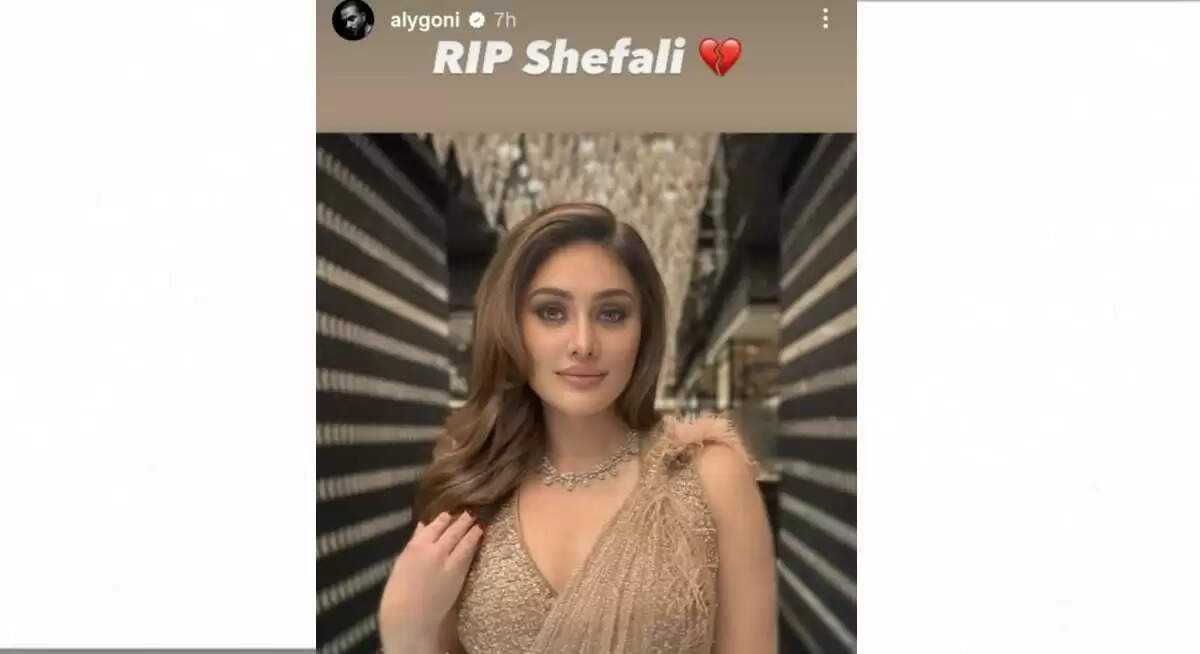 Shefali Jariwala, the Iconic 'Kanta Laga' Girl, Passes Away at 42