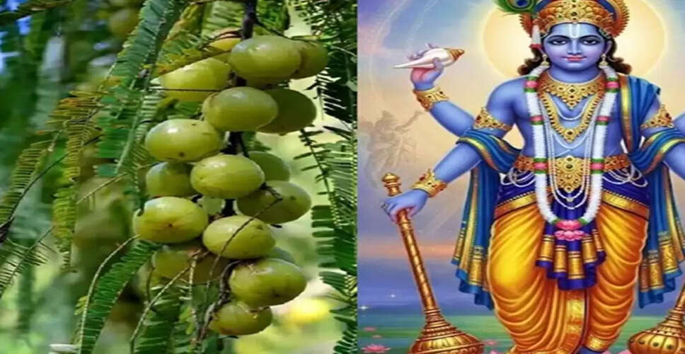 Significance of Akshaya Navami: Celebrating Eternal Goodness