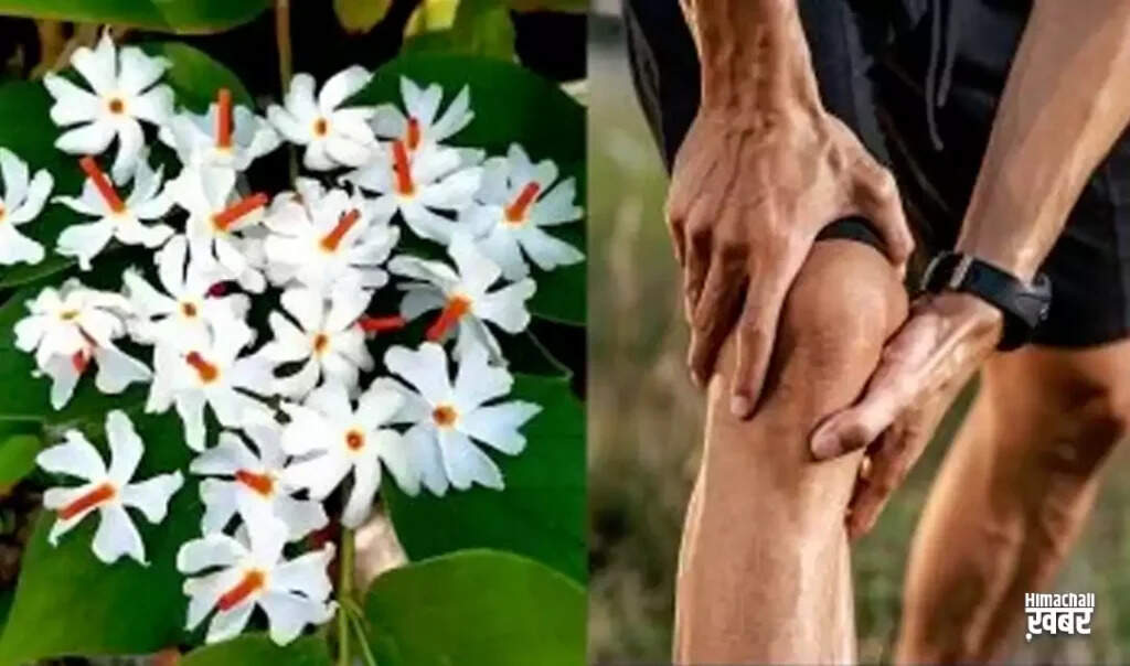 Effective Home Remedies for Joint Pain Relief