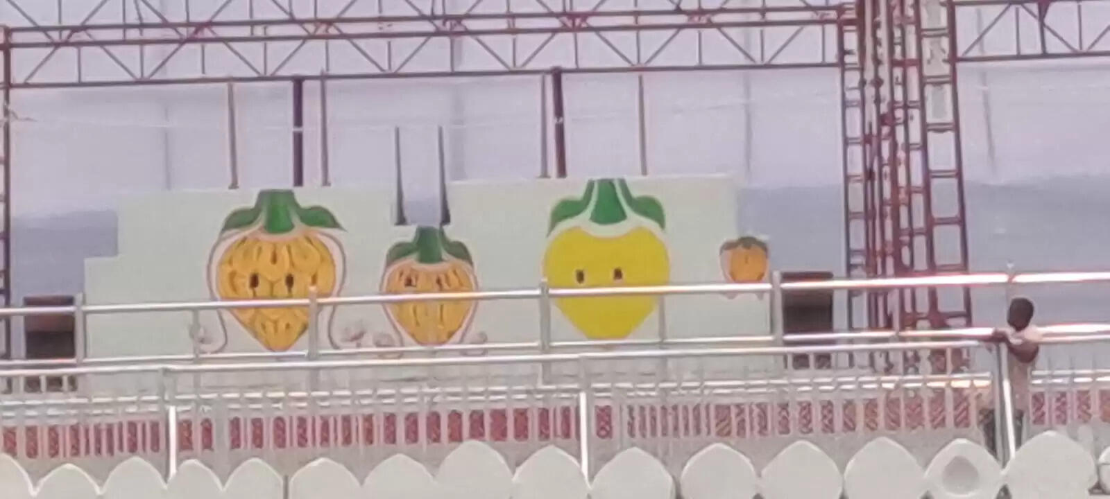 What to Expect at Snana Purnima: Artists Showcase 'Prava' Designs