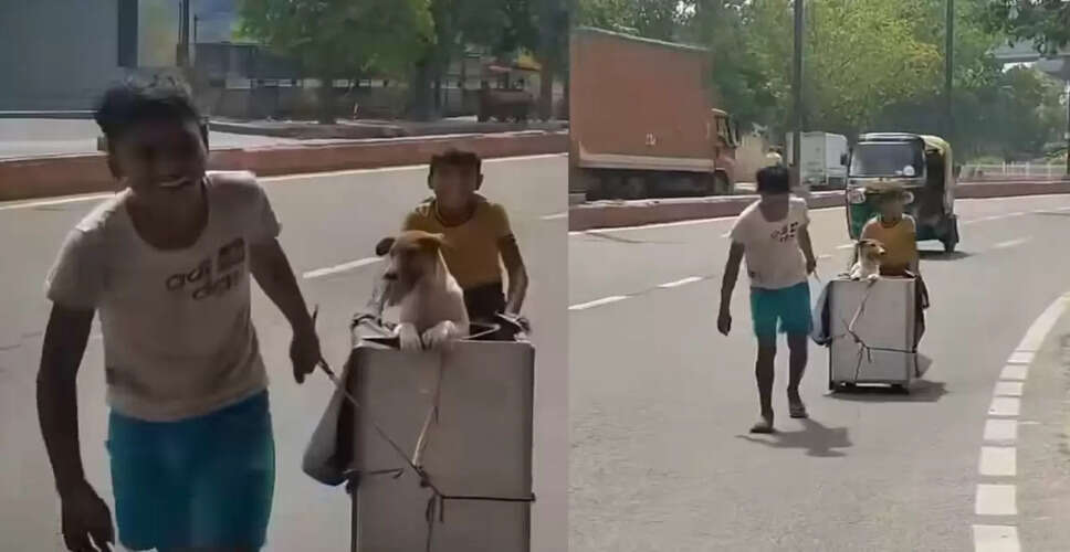 Noida Boys' Heartwarming Act of Kindness for Injured Dog Goes Viral